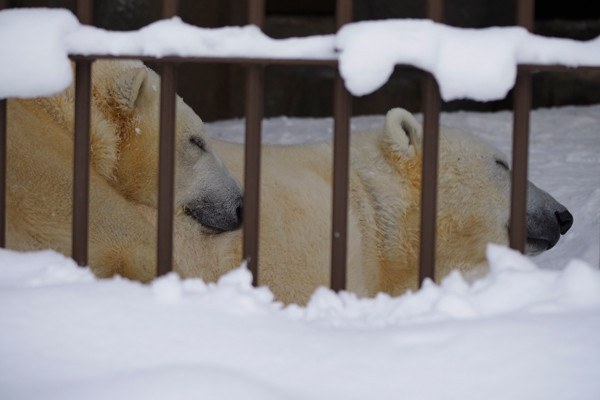 眠る