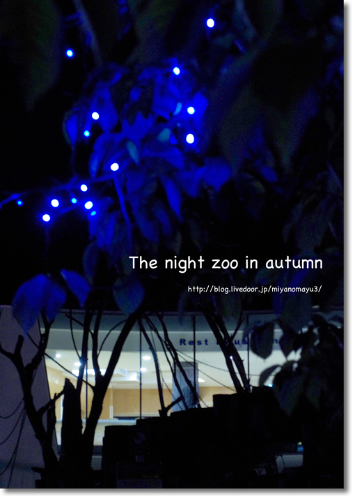夜の動物園
