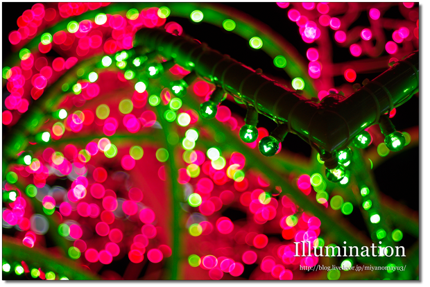イルミネーション