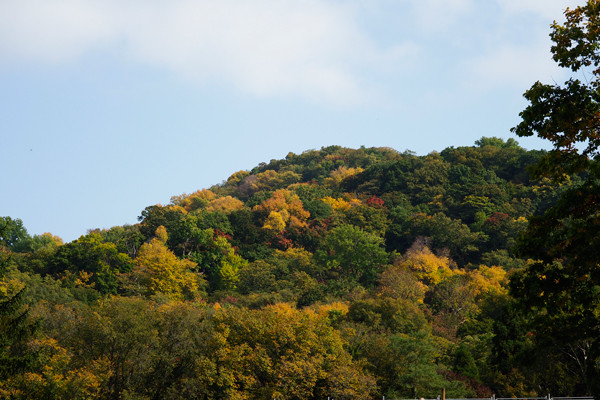 円山