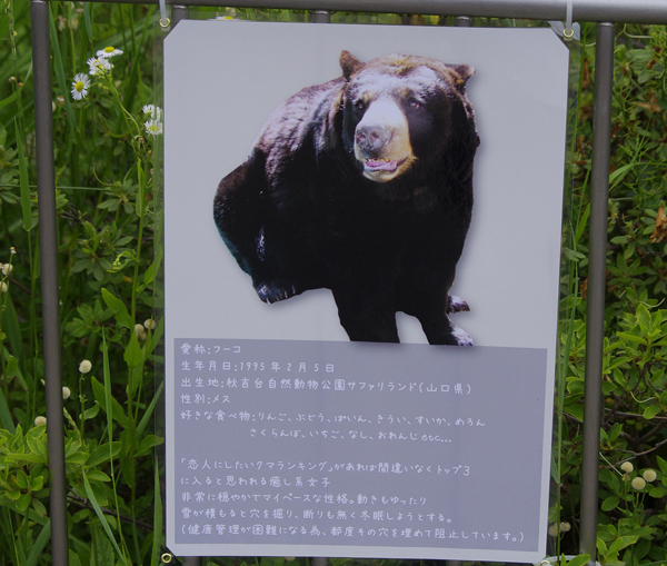 風子看板