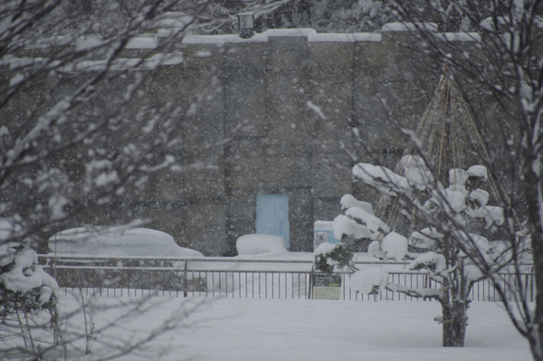 吹雪