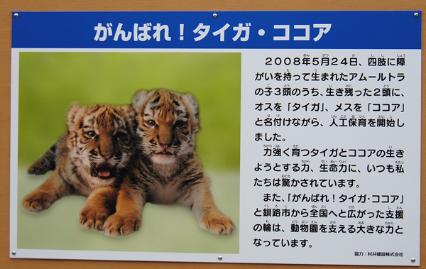 看板