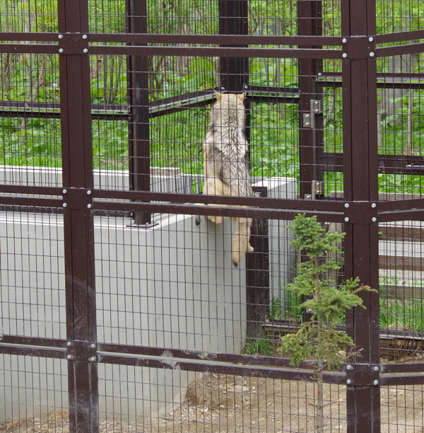 ユウキ１歳