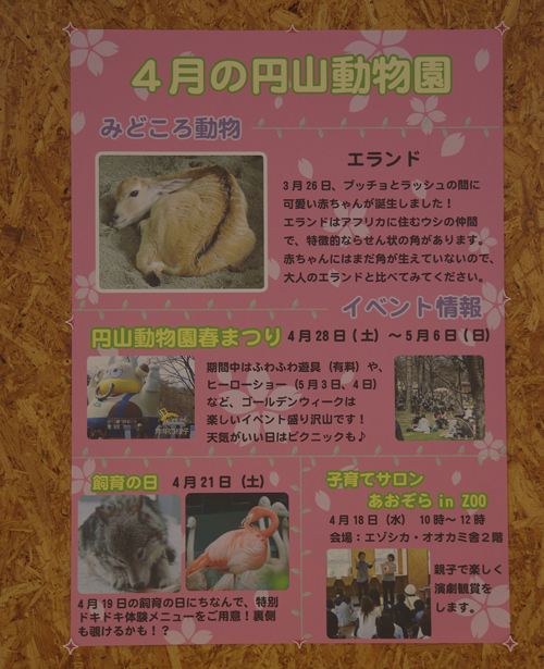 みどころ