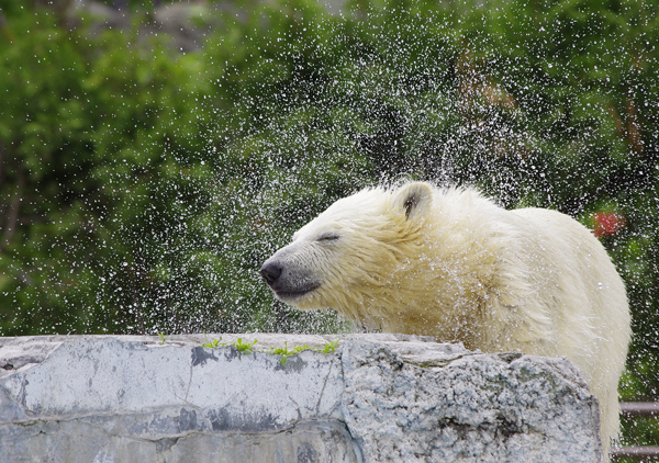 水しぶき