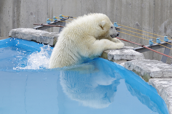 水に落ちる