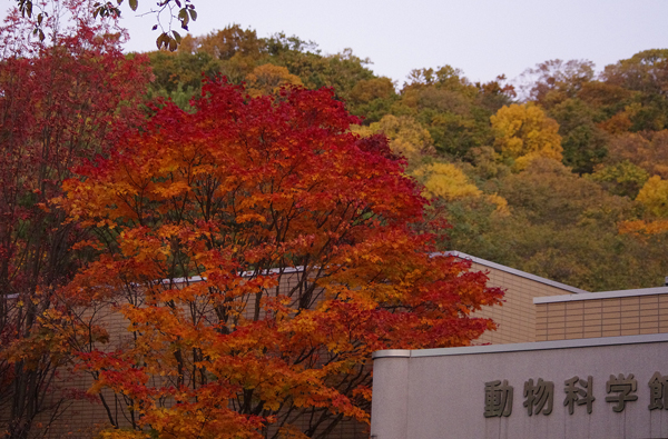 動物科学館