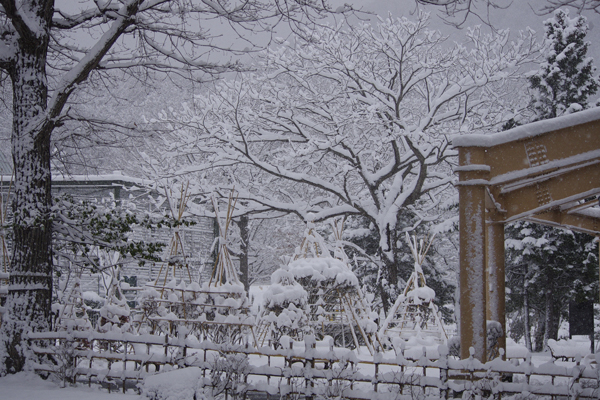 雪景色