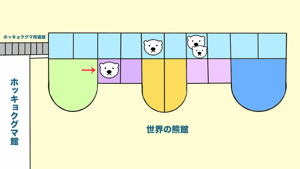 ホッキョクグマ館見取り図