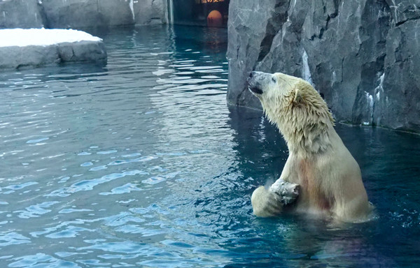 気になる