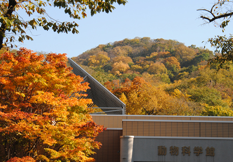 動物科学館