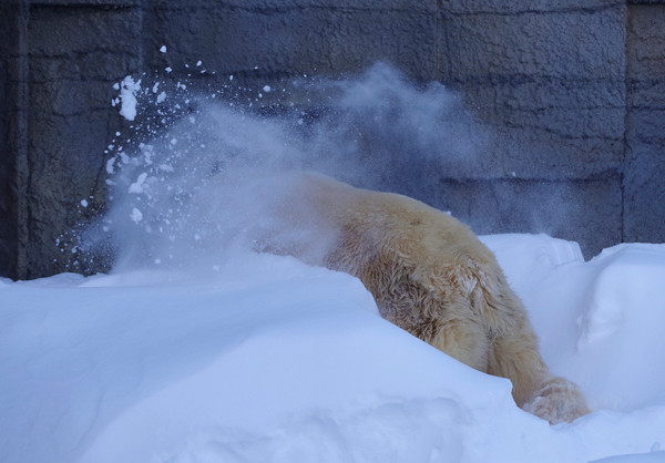 雪けむり