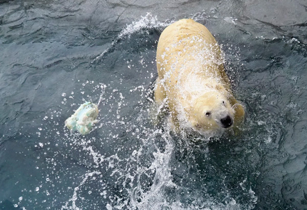 水から投げる