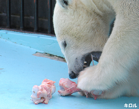 食べる