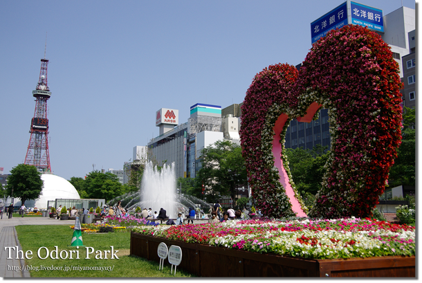 大通公園