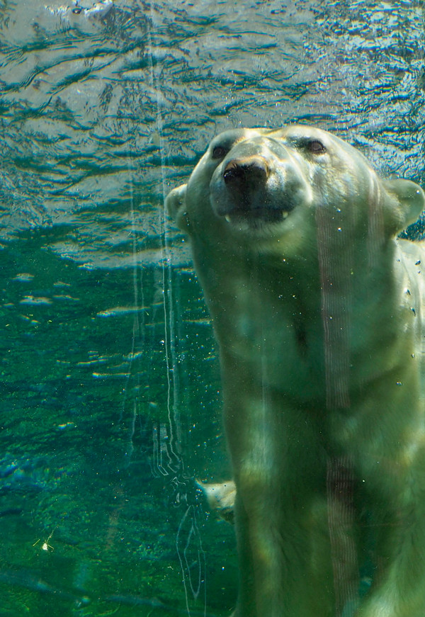 水中