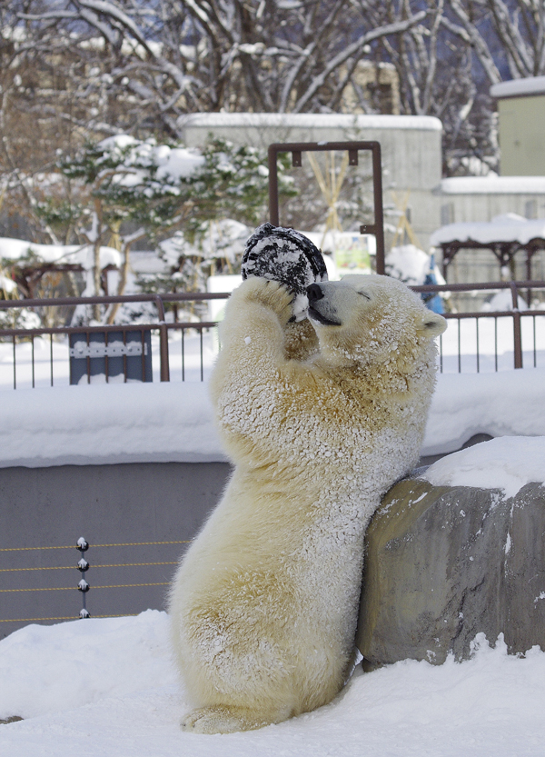 タンバリン