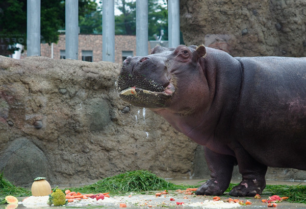 食べる