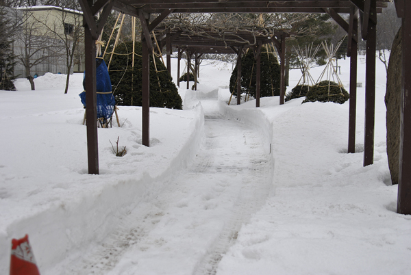 除雪