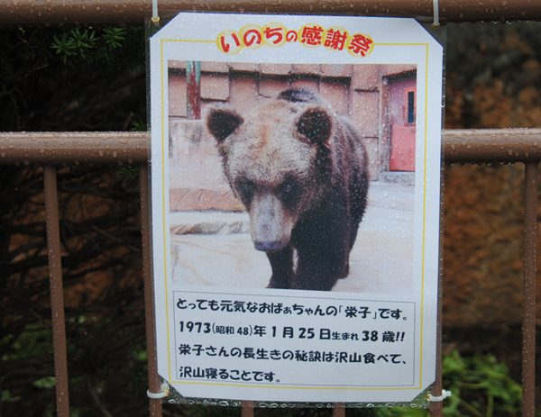 栄子パネル