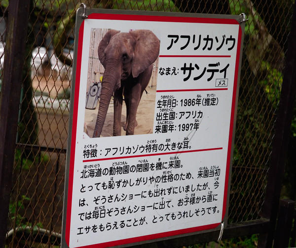 北海道から