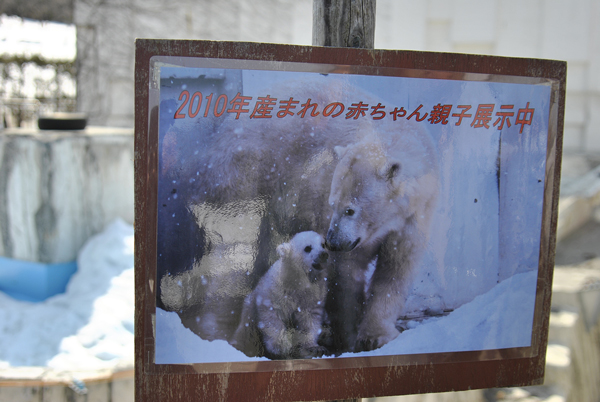 展示中