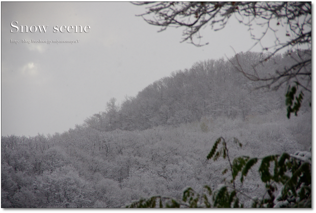 雪景色