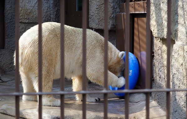 輪っか