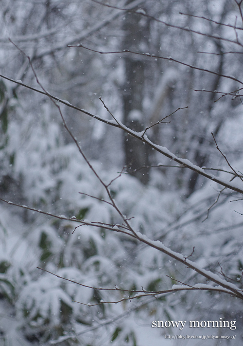 雪