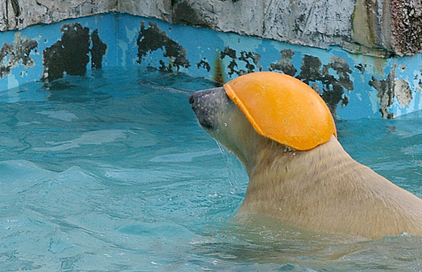 ヘルメット