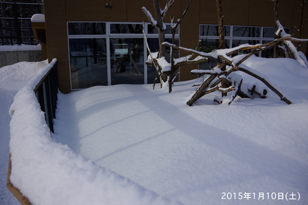 除雪