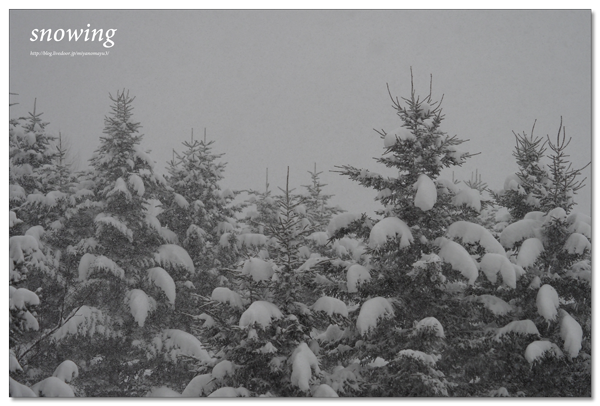 雪