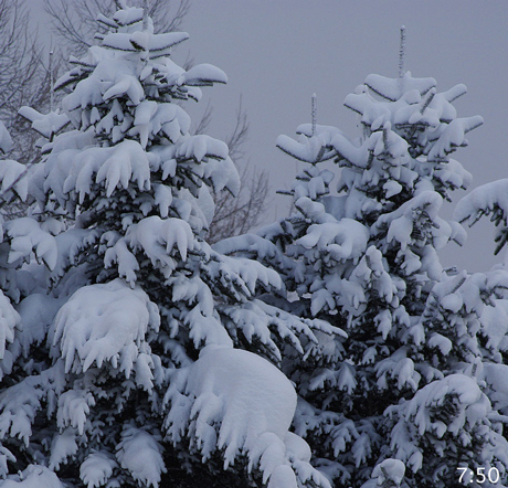 雪