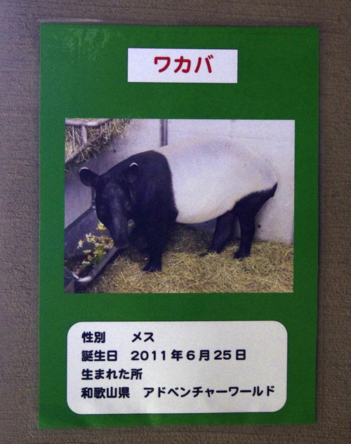 紹介