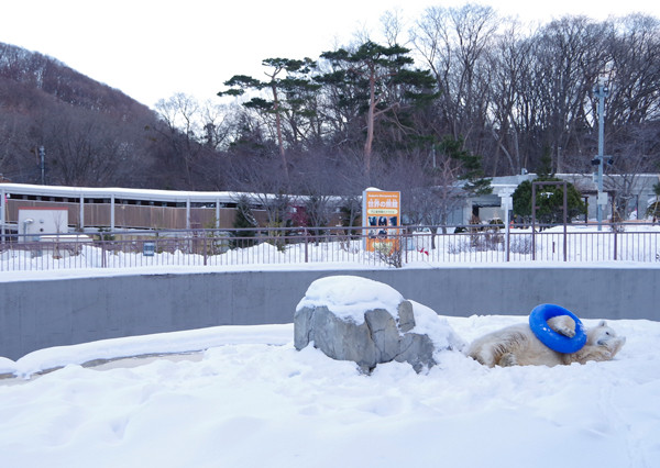 放飼場